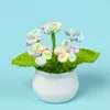 Decorative Flowers Long-lasting Artificial Hand-woven Potted Plants Handmade Gradient Forget Me Not Mini For Home Car Women