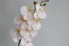 Flores decorativas 35 "Orquídeas falsas em champanhe Phalaenopsis STEM DIY Office/Wedding/Home/Holiday/Cozinha Decorações Presentes