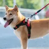 Hondenkragen Harness Strong Small Vest 150cm S Reflecterende riemen Grote verstelbare Pet Pull Drag and Tow