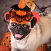 犬のアパレルハロウィーンペット魔女帽子犬の犬と猫のためのコスチュームアクセサリーホリデーコスプレヘッドウェアパーティー