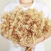 装飾的な花乾燥赤ちゃん呼吸自然ジプソフィルブライダルブーケブーケウェディングデコレーションバレンタインデーギフト人工POの小道具
