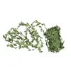 Promotion de fleurs décoratives!20m Home Decor Garland Plantes artificielles Vine Fake Foliage Creeper Green Ivy Wedding Couronne Accessoires