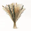 Decoratieve bloemen Natural Fluffy Pampas Grass Bouquet Gedroogd kerst Home Wedding Party Decoratie Boho Arch Flower Arrangement