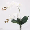 Fleurs décoratives 2 branche réel tactile papillon orchidée fleur artificielle bricolage de mariage de mariage décor de jardin fausse plants pu plantes pot