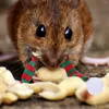 Hundekleidung Spielzeug Hamsterhut Haustier Urlaub Kostüm Kleintiere Kostüme Weihnachtsdekoration Accessoires Weihnachtsfeste