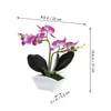 Fleurs décoratives 2 pcs simulation phalaenopsis fausses ornements de plante