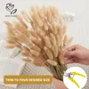 Decorative Flowers Tail Grass Natural Dried Bouquet Colorful Lagurus Ovatus Wedding Christmas Living Room Home Decor Accessories