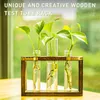 Vases Stations de propagation des plantes Mur Terrarium Terrarium Table Top Table Stand en bois avec 3 tubes