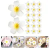 Flores decorativas 20pcs plumeria flor barrettes clipes heltecled countdress acessório