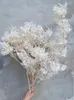 Decorative Flowers White Butterfly Orchid Dried Flower Preserved Natural Fresh Welcome Bean DIY Boho Wedding Bouquet Home Decor Floral