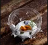 Tallrikar Transparent Sea Perchin Glass Bowl Dinner Plate Cooking Sashimi Serverande Dekorativa dessertskålar Rätter