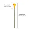 Dekoracyjne kwiaty OC'LEAF Dostosowanie wspierane jak sztuczny kwiat wielokolorowy Bukiet Calla Dług-ogonowy dla DIY Party Home