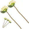 Dekorative Blumen 5 PCs Künstliche Beerenschmuck Weihnachtsfutter Tischdekor Stamm gefälschte Modell Weiche PVC -Stiele Picks Weihnachtsbaumdekorationen