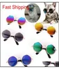 Belles verres de chat pour chiens produits pour animaux de compagnie pour les lunettes de soleil pour les petits chiens p qylbts bdesports7396309