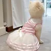 小さな子犬のための犬のアパレルスカート弓のペットレースコスチュームフォーマル服ウェディングパーティー付きスイートプリンセスドレス