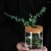 Vazen 250/300 ml Clear Glass Hydroponic Plant Potten Home Decoratie Groen Desktop Ecologische vaas Green Culture Pot Jar