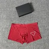 Multipyles Sous-Pants Summer Boxers Swimmer Designer Sous -wear Taille S - XXL Wholesale Retail