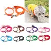 Dog Collars Polyester Cat Harness And Leash Set Pattern Colorful Belt With Bell Detachable Puppy Halter