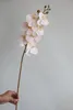 Flores decorativas 35 "Orquídeas falsas em champanhe Phalaenopsis STEM DIY Office/Wedding/Home/Holiday/Cozinha Decorações Presentes