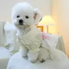 Hundekleidung 1PC Haustierkleidung Katze Frühling und Herbstbärengurt Prinzessin Rock Traktionschnalle geeignet für kleine mittelgroße Hunde