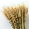 Dekorative Blumen 50pcs Weizen natürliche getrocknete Hochzeitsdekoration Eid Mubarak 2024 Braut Bouquet Pampas Gras