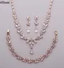 Orecchini da lacrima per le lacrima di gioielli da sposa zirconia cubica in oro rosa di lussuoso set di gioielli da sposa set di orecchini collo1369957