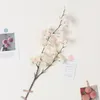 الزهور الزخرفية 3pcs محاكاة أزهار الكرز النباتات الاصطناعية لديكور المنزل المقلدة الأزهار الحفلات مستلزمات زخرفة سطح المكتب