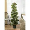 Flores decorativas 63 "Pothos escalando plantas artificiais verde