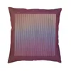 Kissen weich Carlos Cruz Diez Wurf Deckendekoration Custom Square Phisichromie Kissenbezug für Sofa