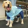 Vêtements de vêtements pour chiens automne et hiver de taille moyenne de taille moyenne chiens modèles de printemps pour animaux de compagnie gros pull à quatre pattes