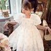 Baby Girl Flower Dress Fairy Bow Short Sleeves Princess Prom Dresses for Girls Birthday Party Kids Clothing Summer Weddidng Gown 240325