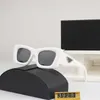 2024 Top designers luxury designer sunglasses New P Home HD Fashion Cat Eye Frame Advanced Sense NS Style Sunglasses 8293