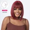 Wigs Wine Red Short Short Bob Hair Wigs Burgundy Burgundy Cynthetic Wig with bangs for Women Afro Heat Cosplay Lolita Have Hair