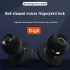 Blocca Tuya Smart Door Knob Knob Fingerprint Lock Bluetooth Bluetooth Smart Lock Porta Biometrica Controllo dell'app Controllo Typec 3 modi di sblocco