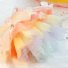 Roupas de cachorro de estimação Vestido de borboleta arco -íris para cães roupas gatos pequenas borboletas saia de asa fofa de verão fino garota rosa chihuahua 240402