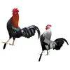 Garden Decorations 2 Pcs Poultry Statue Stake Chicken Yard Sign Hen Lawn Ornament Insert Acrylic Decor