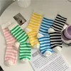 Women Socks Colorful Striped For Summer Thin Mesh Breathable Long Sock Casual Fashion Harajuku Streetwear Crew Candy Color