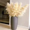 Flores decorativas 110 - 120 cm seco fofo pampas grama grande pluma atacado decoração de casamento boho natural decoração de jardim de flores reais