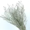 Dekorativa blommor 75G Eternal and Love Grass Real Environmental Protection Dry Flower Party Decoration Pography Home