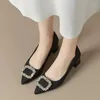 Dress Shoes Dames Simple Solid Color Fashion Square Root Sandalen 2024 Autumn Outdoor Casual Party High Heel