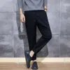 Spring and Autumn Straight Tube Casual Pants for Men, Loose Cotton Workwear Long Pants for Men, Slim Fit 2024 New Versatile Men's Pants