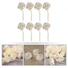 Vases Fragrance Diffuser Sticks Rattan Sola Flower Office Accessories Beautiful Flowers