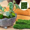 Decorative Flowers Simulated Fake Moss Home Accessories House Decorations For Plastic Turf Decorate Artificial DIY Grass Mat Mini