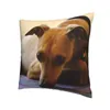枕かわいいグレイハウンドホイペットカバーデコレーションソファの両面印刷のためのスルーサイトランド犬のスロー