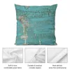 Pillow Rustic Wood With Bright Turquoise Paint Weathered And Aged To Perfection Throw Luxury Covers