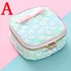 Storage Bags Girl Cute Mesh Embroidery Sanitary Napkin Coin Earrings Headset Multi-function Bag Organizer