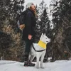 Шарф для собак сплошной бандана с двумя сторонами носимым ножным теплым зимним наряда