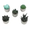 Dekorativa blommor Mini Konstgjorda suckulenter Desk Plant Plastic Ous Faux Succulent Potted Low Maintretic Eesthetic For Home