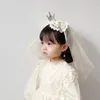 헤어 액세서리 ins 스타일 어린이 소녀 왕관 후프 진주 레이스 메쉬 아이 소녀 머리 생일 파티 머리 장식 어린이 액세서리