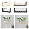 Vazen hydrocultuur vaas muur gemonteerd glas hangende planter voor woningdecor keuken